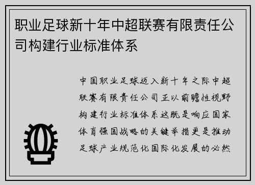 职业足球新十年中超联赛有限责任公司构建行业标准体系