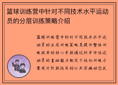 篮球训练营中针对不同技术水平运动员的分层训练策略介绍